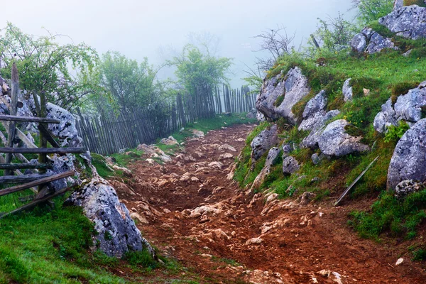 Mountain landscape with autumn morning fog at sunrise - Fundatura Ponorului, Romania — Stock Photo, Image