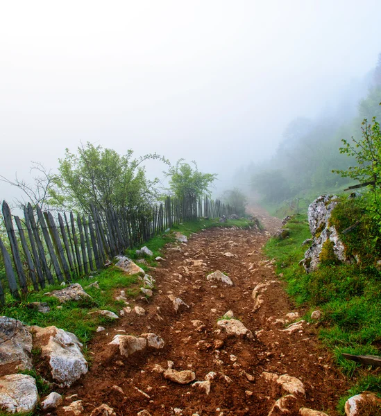 Górski krajobraz z jesieni mgła na wschód - Fundatura Ponorului, Rumunia — Zdjęcie stockowe