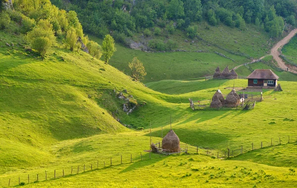 Bergslandskap i sommarmorgon, Rumänien — Stockfoto