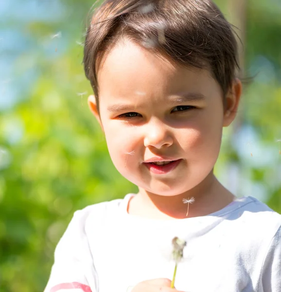 Little girl blowing the fluff off a dandelion head — Stock fotografie