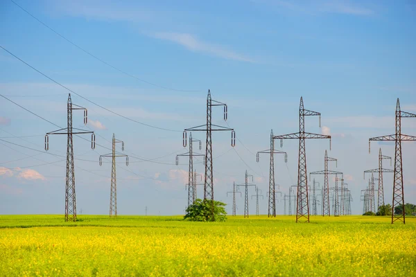 Field of rapeseed (brasica napus) and high voltage pole — Stock fotografie