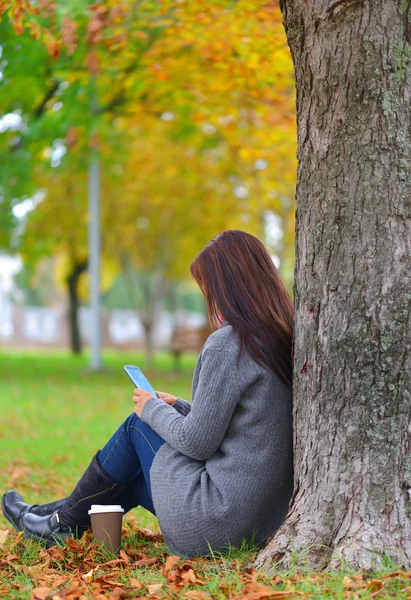 Beautiful girl messaging with phone in autumn park — Stock Photo, Image