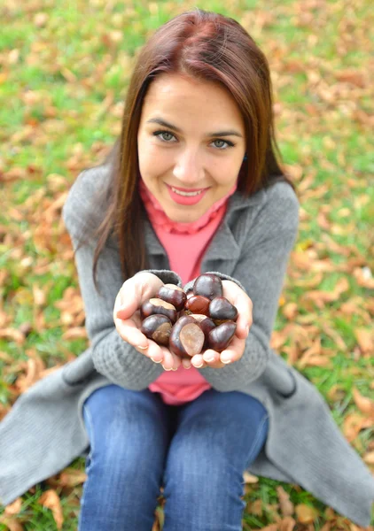 Girl holding many chestnuts in her hands — Stock Photo, Image