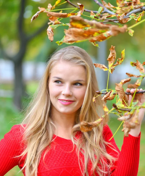 Sonbahar açık havada güzel genç kadın portresi — Stok fotoğraf