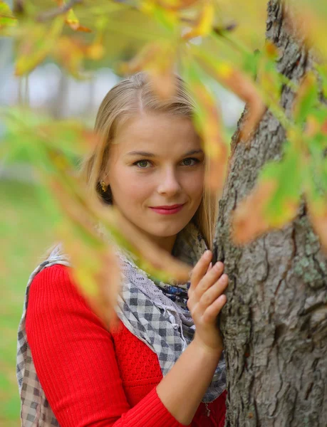 Portrét krásné mladé ženy venku na podzim — Stock fotografie