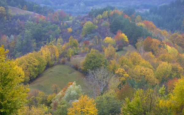 Le paysage d'automne de montagne avec la forêt colorée — Photo