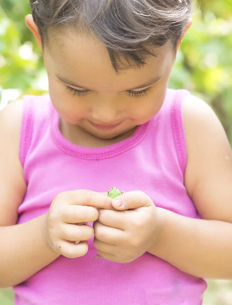 Winziger Frosch auf kleinen Mädchenhänden — Stockfoto