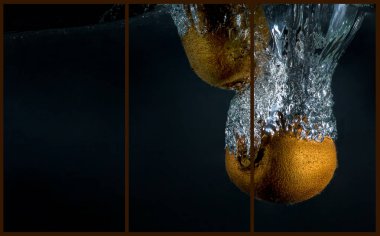 Bir tek fotoğraf bir kivi ile kavramı kolaj