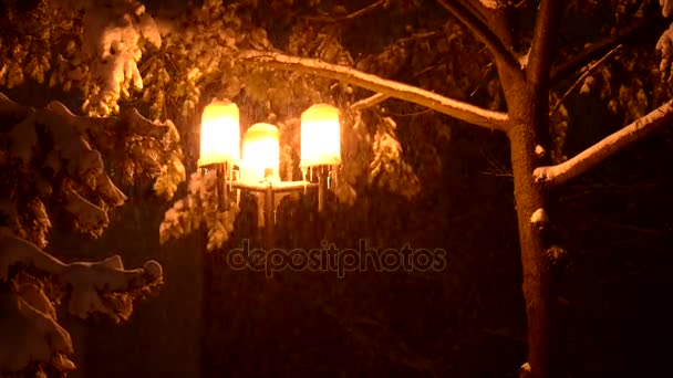 Night Winter Street Lamp With Falling Snow — Stock Video