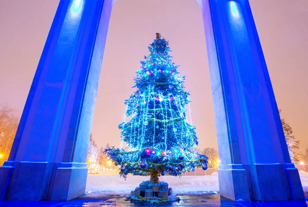 在布加勒斯特装饰圣诞树 — 图库照片