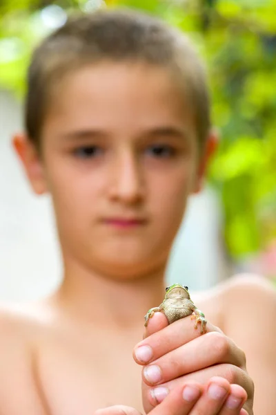 Jovem rapaz segurando um sapo verde minúsculo em suas mãos — Fotografia de Stock