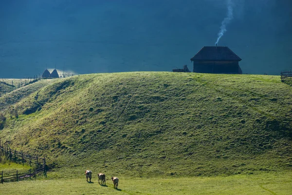 Horská krajina v letní ráno, Rumunsko — Stock fotografie
