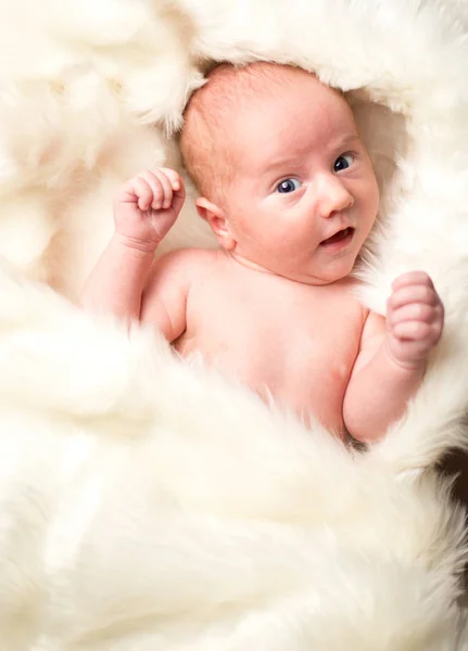 Niño recién nacido en una manta blanca —  Fotos de Stock