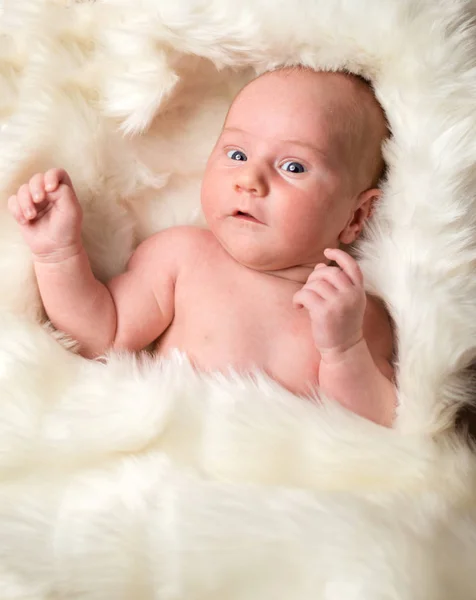 Niño recién nacido en una manta blanca —  Fotos de Stock