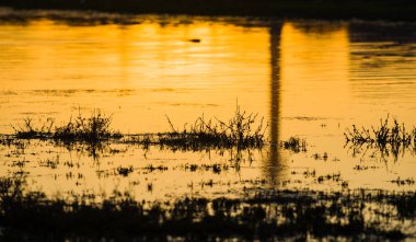 su üzerinde günbatımı renkleri