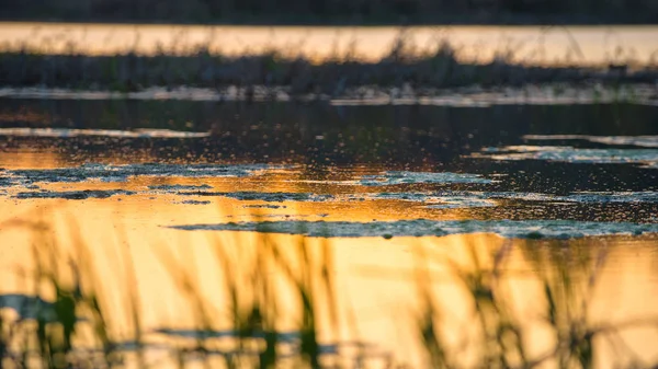 Sunset colors over the water — Stock Photo, Image