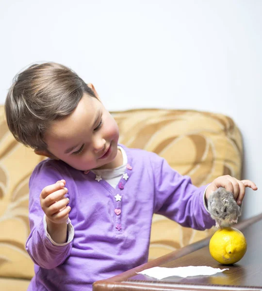 Little girl with her hamster — Stock Photo, Image