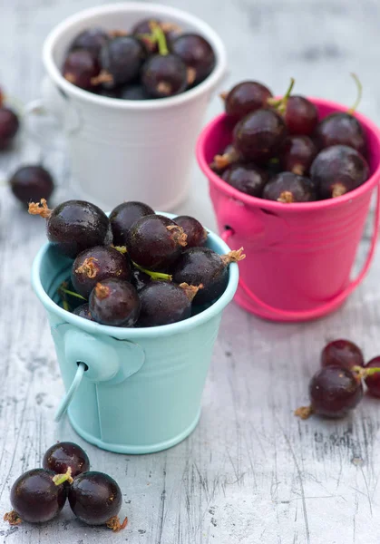 Ripe organic currant berries in little buckets — Stock Photo, Image