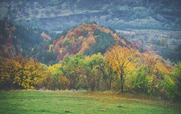 Paysage d'automne idyllique avec des arbres dorés orange colorés — Photo