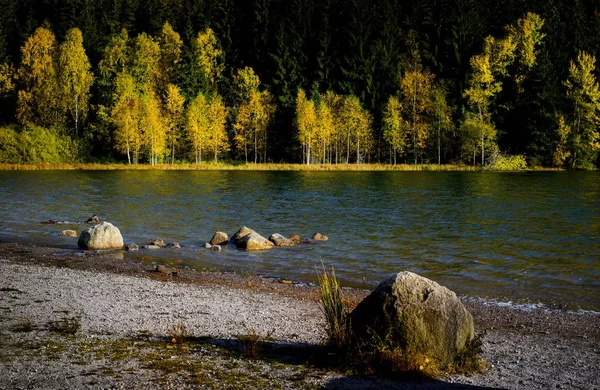 Осенний пейзаж на озере Святой Аны в Румынии, единственном вулканическом озере в Европе, образованном в кратере мёртвого вулкана — стоковое фото