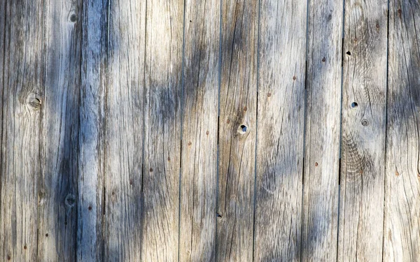 Eski ahşabın dokusu