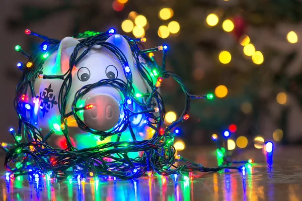 Piggy Bank Gewikkeld Tekenreeks Kerstverlichting — Stockfoto