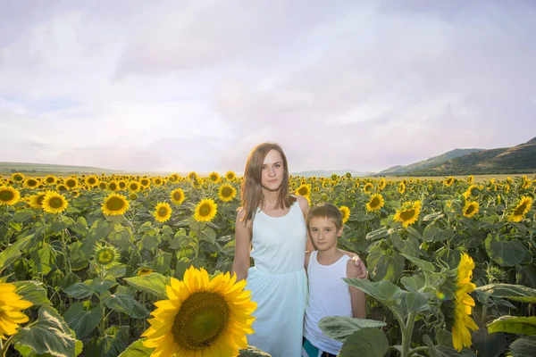 Mutter Und Sohn Sonnenblumenfeld — Stockfoto