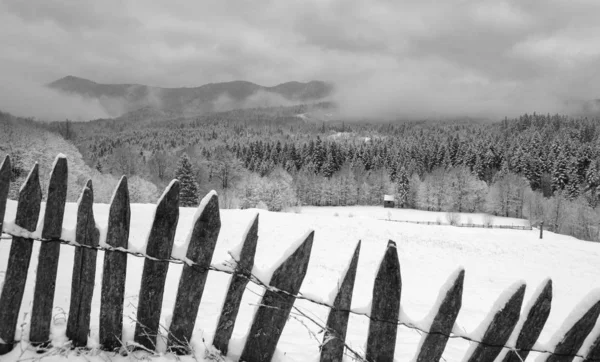 Black and white image of winter country landscape with timber fence