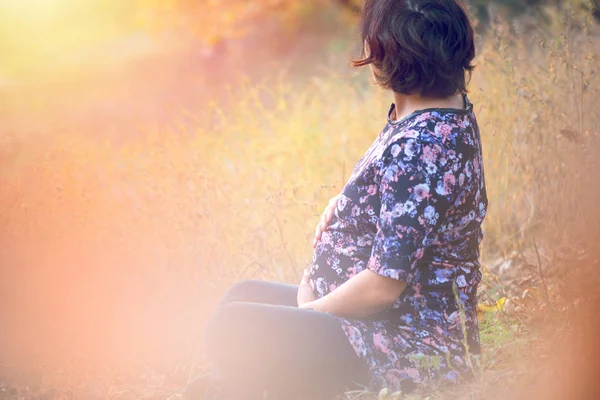 Portret Van Mooie Zwangere Vrouw Natuur — Stockfoto