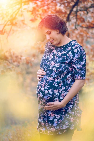 Portret Van Mooie Zwangere Vrouw Natuur — Stockfoto