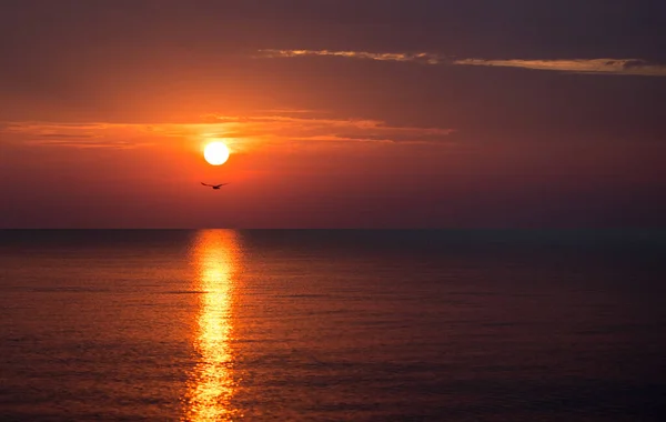 Beautiful Sunset Sea Summer Time — Stock Photo, Image