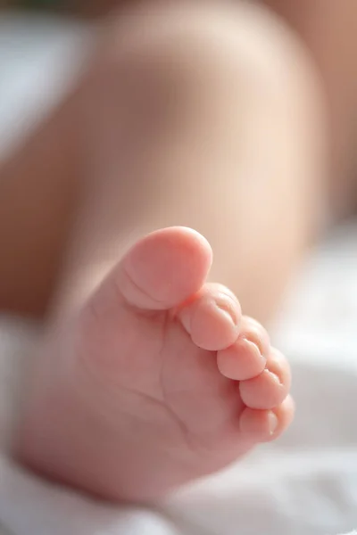 Closeup Photo Newborn Foot — Stock Photo, Image