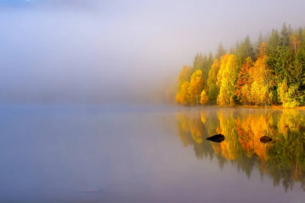 Podzimní Krajina Horách Stromy Odrážejícími Vodě Jezera Svaté Anny Rumunsko — Stock fotografie