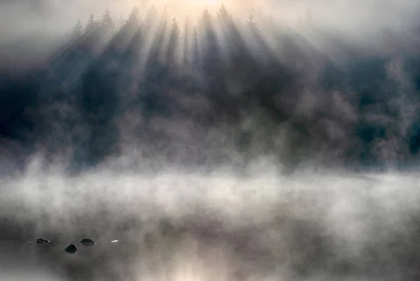 Spiegelung Der Ersten Sonnenstrahlen Einem Nebligen Waldsee — Stockfoto