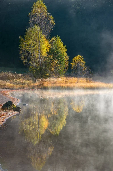 Podzimní Krajina Horách Stromy Odrážejícími Vodě Jezera Svaté Anny Rumunsko — Stock fotografie