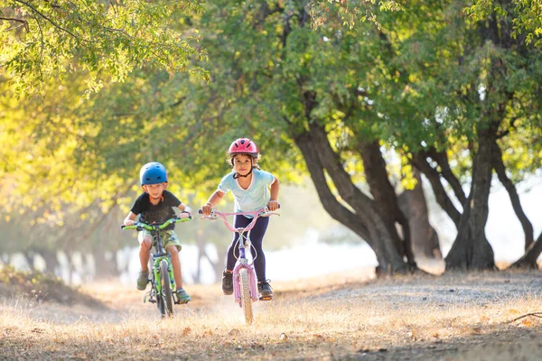 在美丽的秋天 快乐的男孩和女孩在秋天的公园里骑自行车玩得很开心 戴自行车头盔的积极儿童 — 图库照片