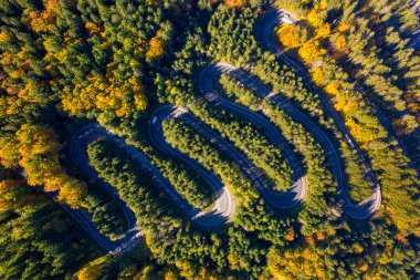 Renkli sonbahar ormanı boyunca kıvrımlı yol; Transilvanya 'da Romanya' dan geçmek, insansız hava aracından hava manzarası