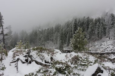 sis ve kar dağ manzarası