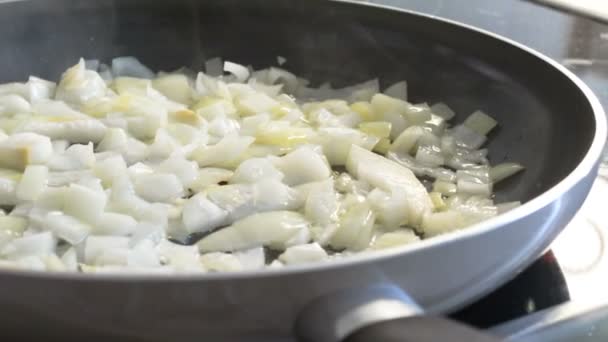 Las cebollas blancas están fritas — Vídeo de stock