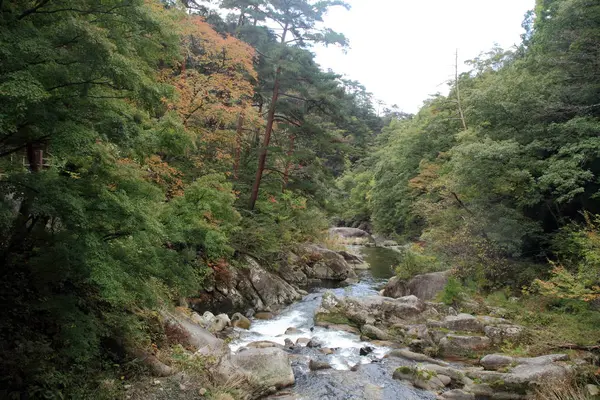Mitake Shosenkyo gargantas y arroyo montañoso con hojas rojas de otoño en Koufu, Yamanashi, Japón —  Fotos de Stock