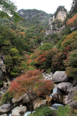 Mitake Shosenkyo dolu ve Kakuenbo ile kırmızı sonbahar yaprakları Koufu, Yamanashi, Japan