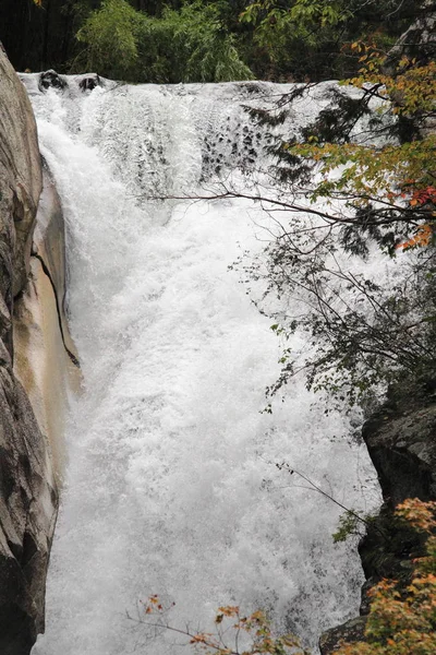 Mitake Shosenkyo desfiladeiros e queda de Senga com folhas vermelhas de outono em Koufu, Yamanashi, Japão — Fotografia de Stock