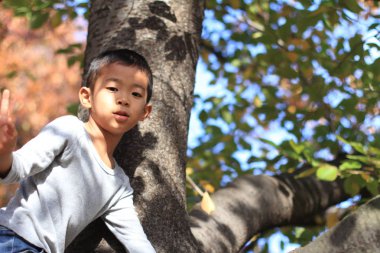 Japon çocuk ağaç tırmanma (birinci sınıftan ilköğretim okulunda)