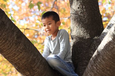 Japon çocuk ağaç tırmanma (birinci sınıftan ilköğretim okulunda)