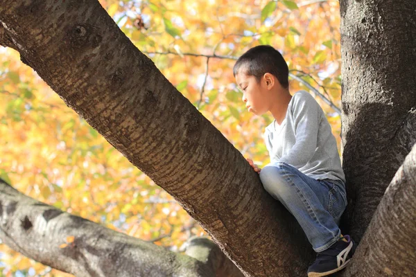Chico japonés trepando al árbol (primer grado en la escuela primaria ) — Foto de Stock