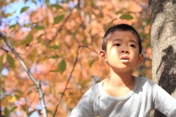 Japanischer Junge klettert auf den Baum (erste Klasse der Grundschule)) — Stockfoto