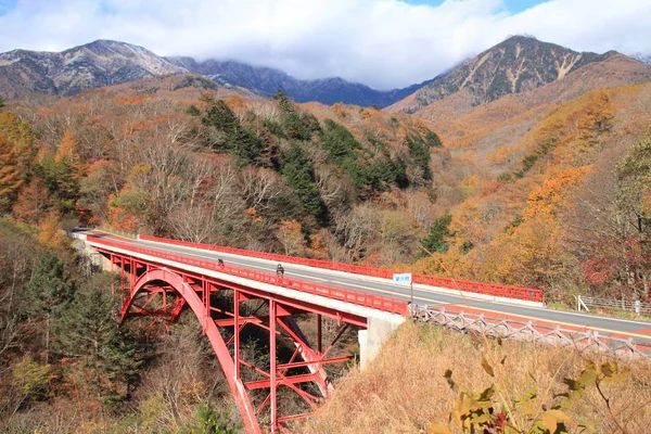 Folhas de outono na ponte do rio East em Kiyosato highland, Yamanashi, Japão — Fotografia de Stock