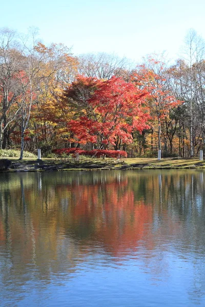 日本山梨清山高原湖畔的秋叶 — 图库照片