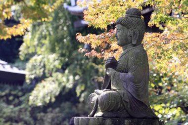 Buda resim ve sonbahar yaprakları Hasedera, Kamakura