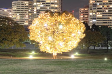 Noel aydınlatma Yokohama, Japonya